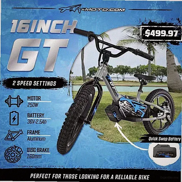 16" XRT Moto Stacyc style kids electric balance bike 36V-2.5Ah