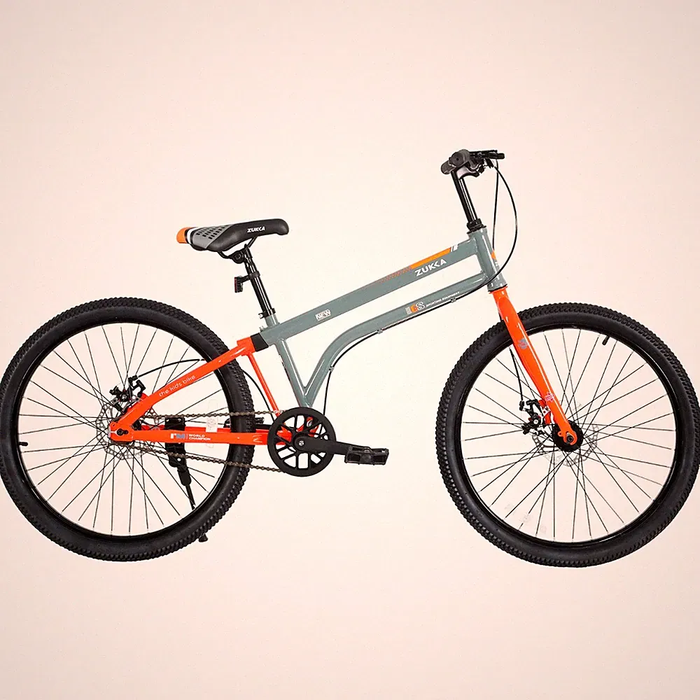 MEGHNA 24"Kids Bicycle for Boys Girls 10+, Single Speed with Dual Disc Brakes GR